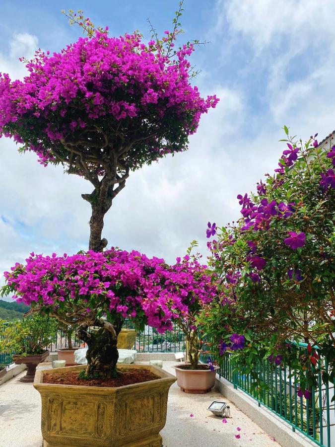 Nang Mai Homestay Da Lat Dış mekan fotoğraf