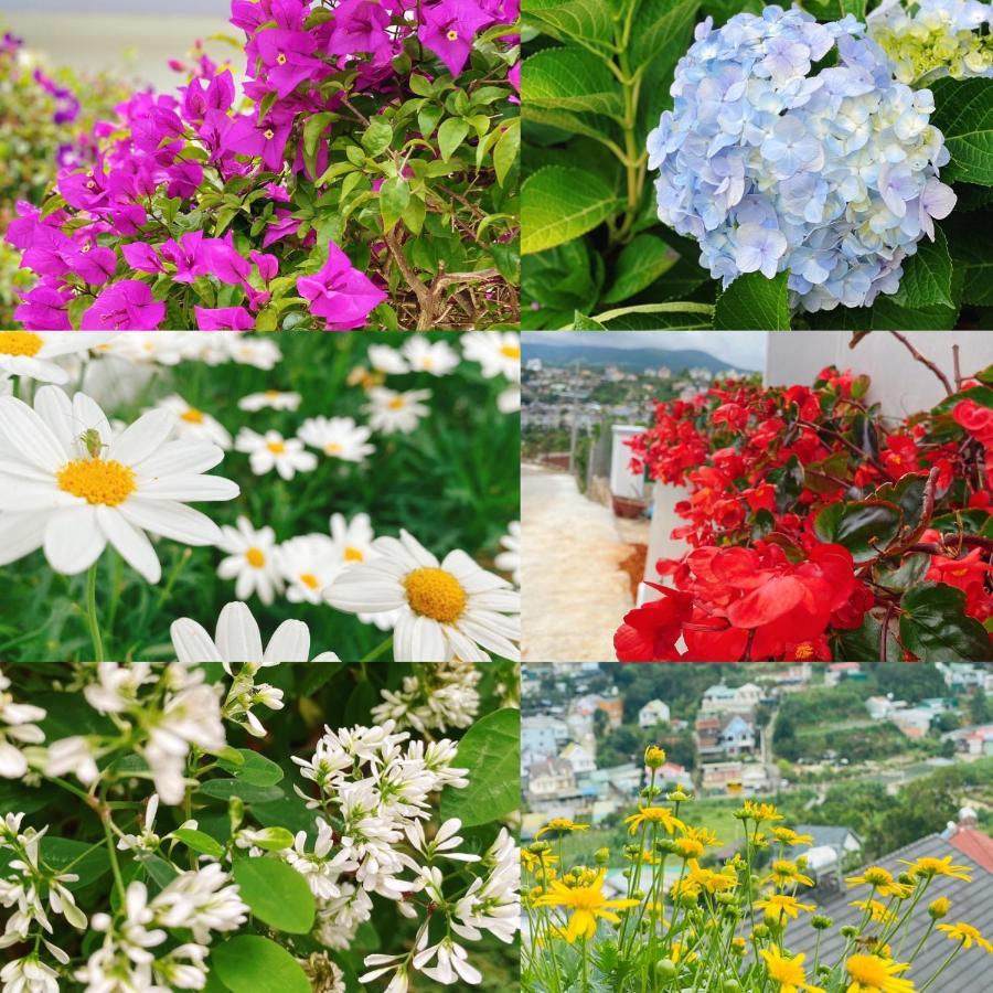 Nang Mai Homestay Da Lat Dış mekan fotoğraf